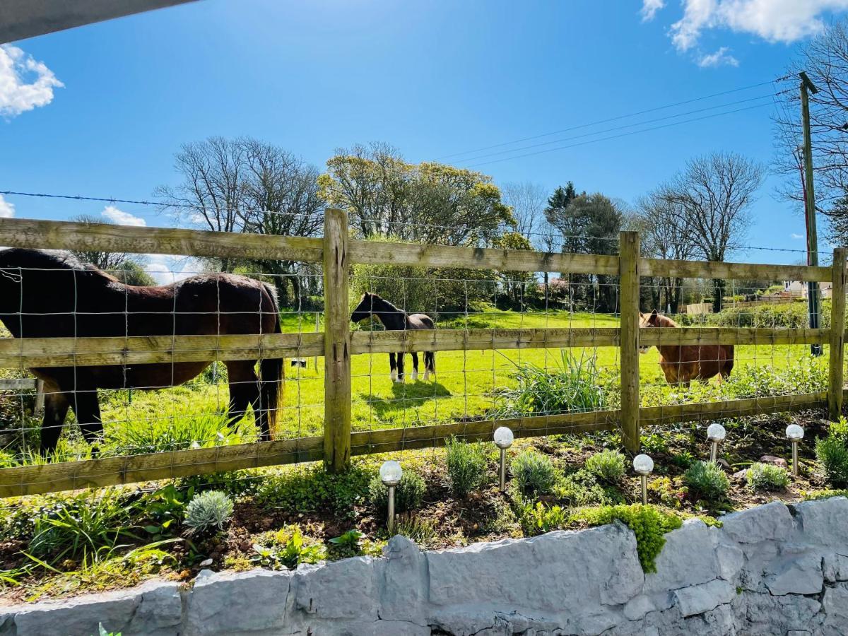 Unique The Old Stables Pembrokeshire Sleeps 8 - Welsh Tourist Board Award 5 Stars